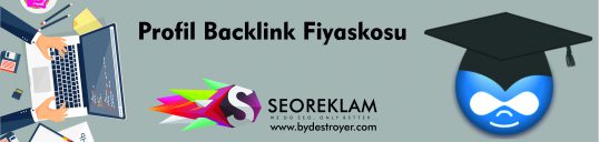 Profil Baclink Fiyaskosu